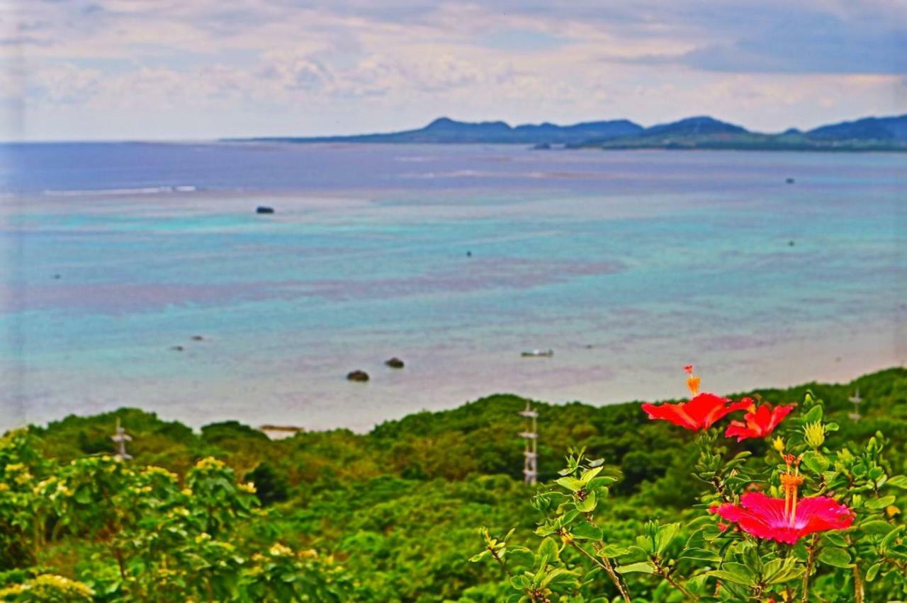 Little Mermaid Hotel Ishigakijima Ishigaki  Esterno foto